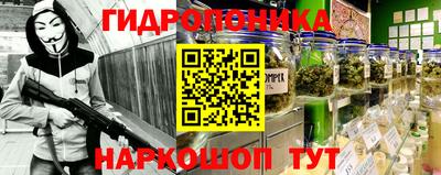 шишки Краснодар